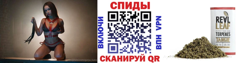 закладки  даркнет какой сайт  OMG как зайти  БУТИРАТ 99%  Зея 