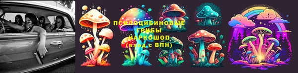 таблы Новокубанск
