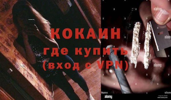 каннабис Дмитров