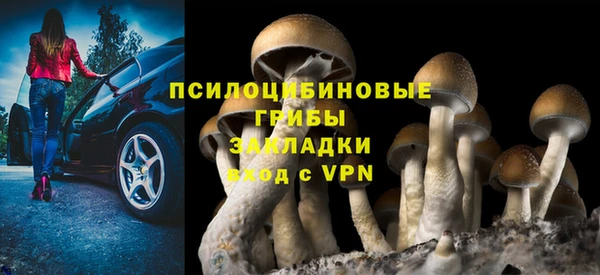 каннабис Дмитров