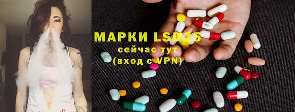 меф Дмитриев