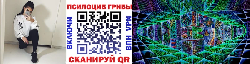 Псилоцибиновые грибы GOLDEN TEACHER Зея